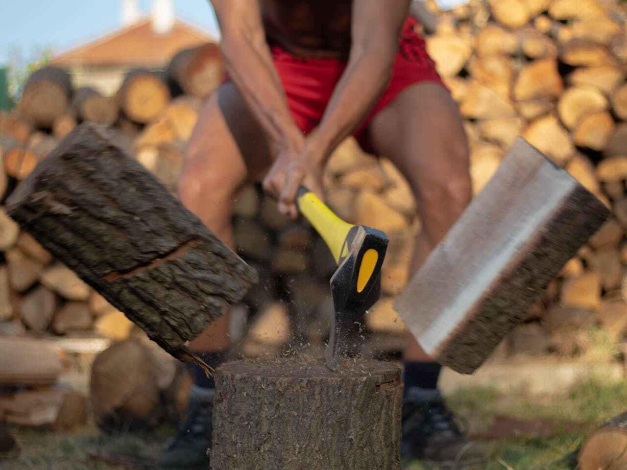 Residential Tree Removal in Bourbon, MO